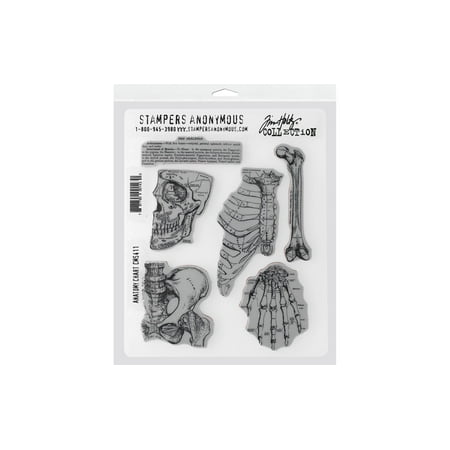 UPC: 0787790001430 | Tim Holtz Cling Stamps 7 X8.5 -Anatomy Chart