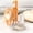 22#Khaki, variant on Automatic Pet Water Dispenser Gravity Water Feeder, Large Capacity Auto Refill Leakproof Stable Base Easy Clean Design, Ideal Daily Hydration Solution for Cats Dogs Home Use