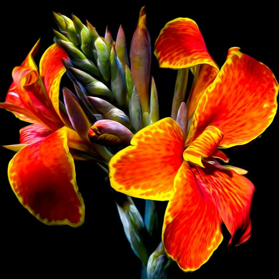 Springbok 500 Piece Maderna Canna Lily Jigsaw Puzzle for Adults