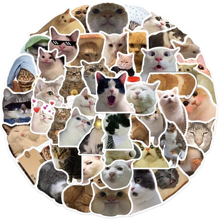 FeiraDeVaidade 50Pcs Internet Celebrity Sticker Funny Cat Meme Graffiti Stickers For Diy Luggage Laptop Bicycle Stickers