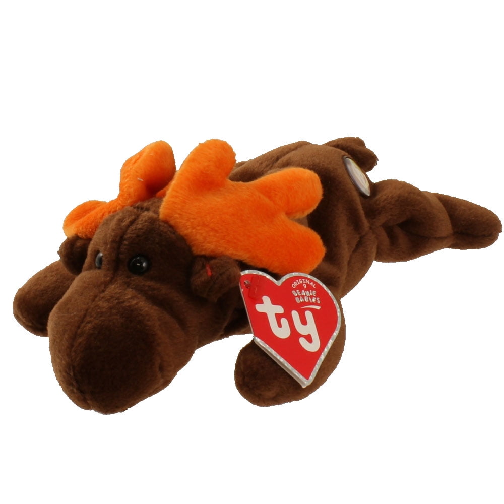 ty moose beanie baby