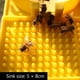 thumbnail image 5 of Alimentador de Abejas, Bebedero de Agua Potable, Apicultura Miel Comederos Abejas Riego Abejas, Herramientas Suministros, Alimentación de Abejas, Herramientas de Bebedero, 4 Piezas, 5 of 8