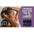 thumbnail image 4 of 6 Botellas de Shampoo de Biotina JYE Natural, 4 of 6