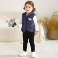 thumbnail image 6 of GYRATEDREAM Baby Boys Girls Fleece Vest Zip Up Cute Bear Jackets Fuzzy Fall Winter Warm Clothes Newborn Outwear for Toddler Infant 0-3Y, 6 of 8