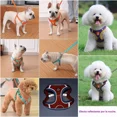 thumbnail image 5 of Pechera-arnés Y Correa Para Perros Set Reflectivas + Regalo, 5 of 5