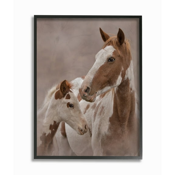 Stupell Horse Family Photograph, Framed Giclee, 11 x 1.5 x 14, A - Multi-color 11 x 14