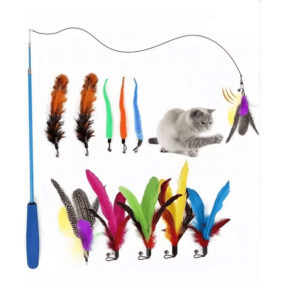 Juguetes Para Gato Interactivos Plumas Campanas 11pcs Multicolor