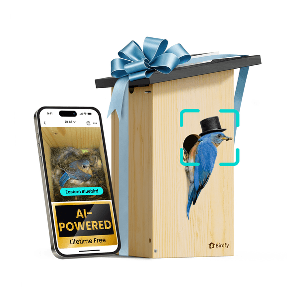 Birdfy Smart Bird Houses for Outside Solar Powered, 1080P HD Live View Bird House with Camera, Perfect Viewing Bird Nesting and Hatching, Bird Feeder with Camera for Most Birds