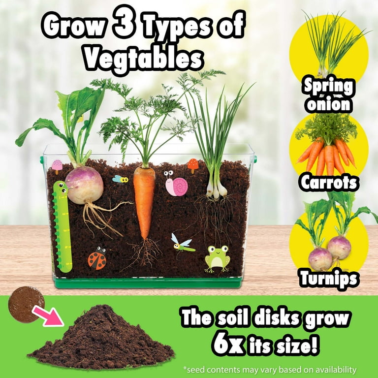 Be Amazing Toys Kids Indoor Garden Kit - Plant & Decorate Your Own