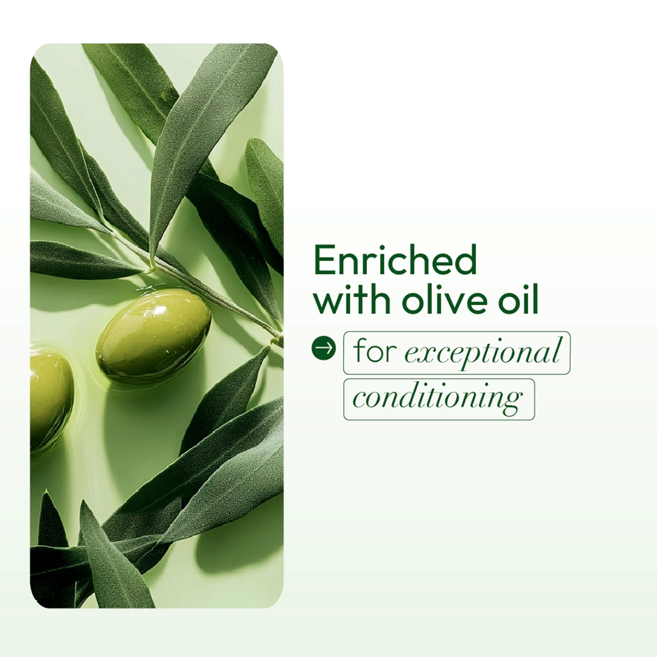 (2 pack) ORS Olive Oil Glossing Hair Polisher for Frizz Control & Shine, All Hair Types, 6.0 fl.oz.