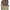 Brown, variant on Kaemgyyd Going out Tops for Women 2 PC Solid Long Sleeve Crew Neck Slim T Shirts Trendy Fall Basic Casual Tight Tee 2024
