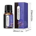 thumbnail image 2 of Essential oil 10ML Eternal Aroma: Botanical Water Soluble Oil For Indoor Fragrance, 2 of 2