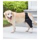 thumbnail image 2 of (Tamaño S) Protectores de piernas para mascotas, cinturón de asistencia para lesiones de perros, rodilleras para mascotas, cubierta protectora, 2 of 4
