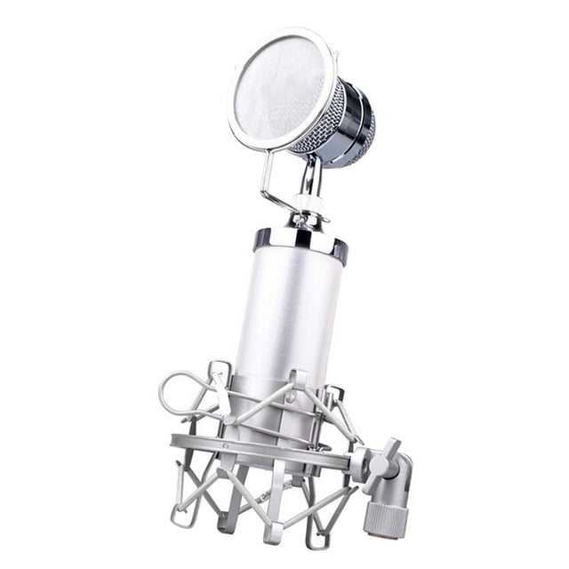 Tachiuwa microphone mobile en mini Capacité