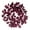 Burgundy, variant on Vickerman 24" Silver Artificial Dogwood Glitter Wreath
