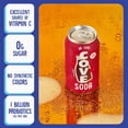 thumbnail image 5 of (Pack Of 24) Cove Soda Probiotic Dr Cove 12 Fl Oz, 5 of 5