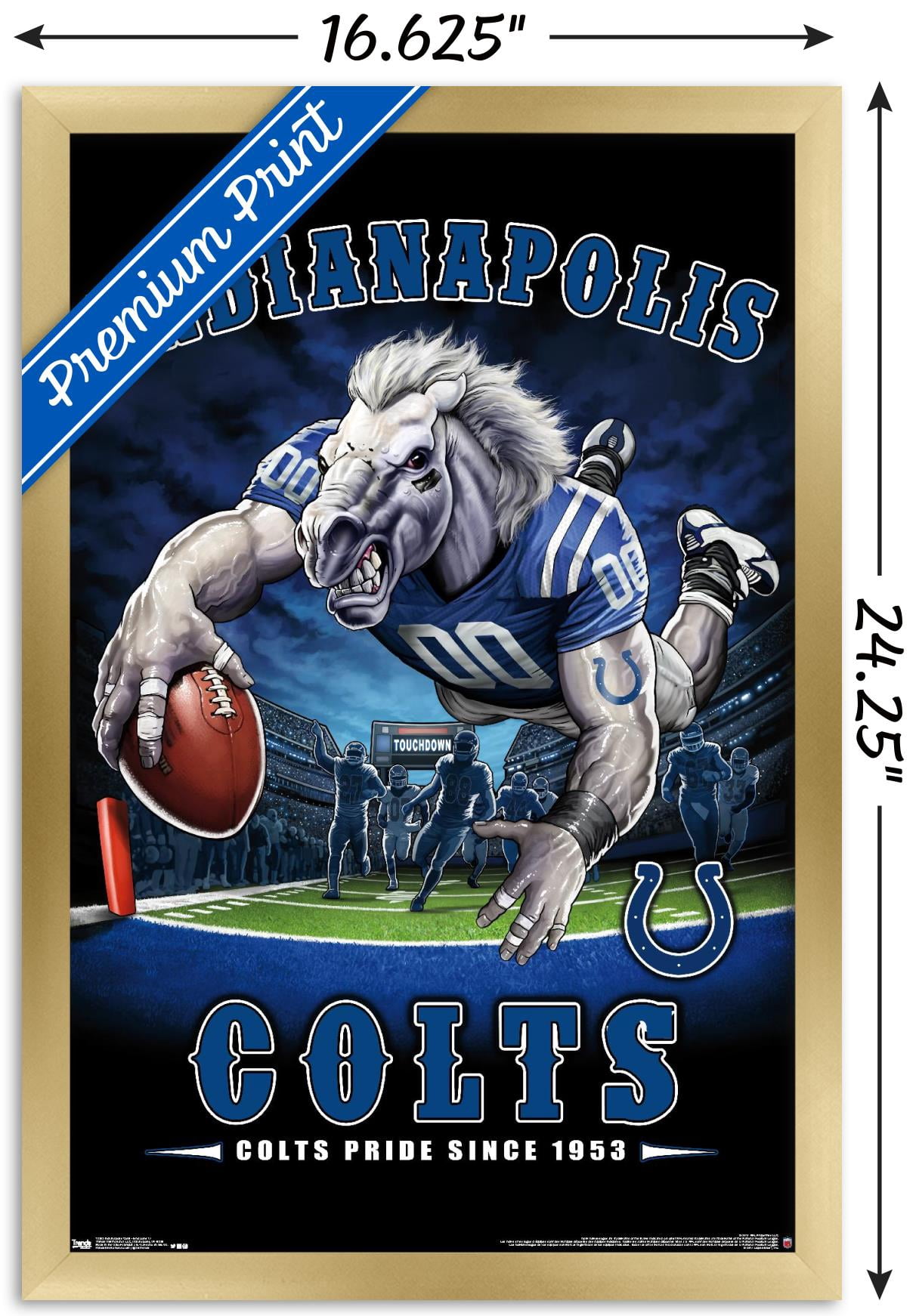 NFL Indianapolis Colts - End Zone 17 Wall Poster, 14.725" x 22.375", Framed