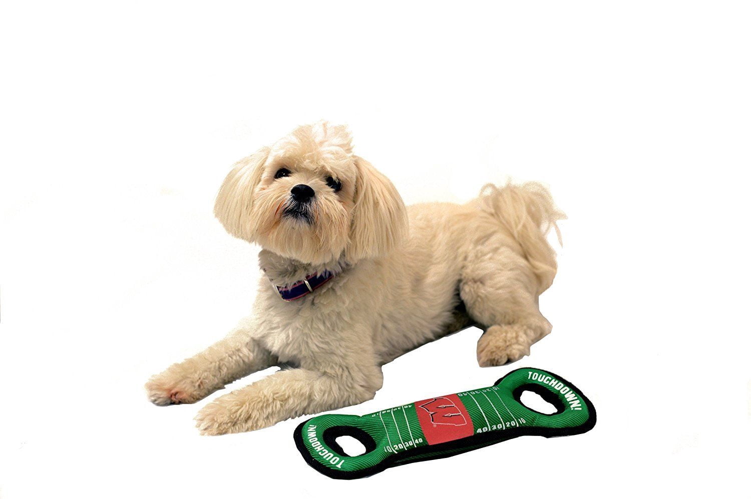 Pets First Collegiate Wisconsin Badgers Football Field Toy for DOGS & CATS. Heavy-Duty, Durable toys with Squeakers