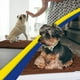thumbnail image 4 of Muddy Mat® AS-SEEN-ON-TV Tapete para puerta y alfombra para mascotas de microfibra altamente absorbente, área lavable gruesa antideslizante y tapete de baño de chenilla suave para cocina, baño, dormit, 4 of 5