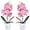 Pink, variant on Artificial Orchid Flowers, 2 Pieces Potted Fake Orchids with Plastic Vase for Table Centerpiece Home Decor Office Wedding Party Decoration