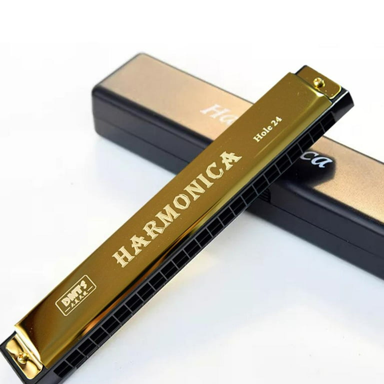 Dmts harmonica store hole 24