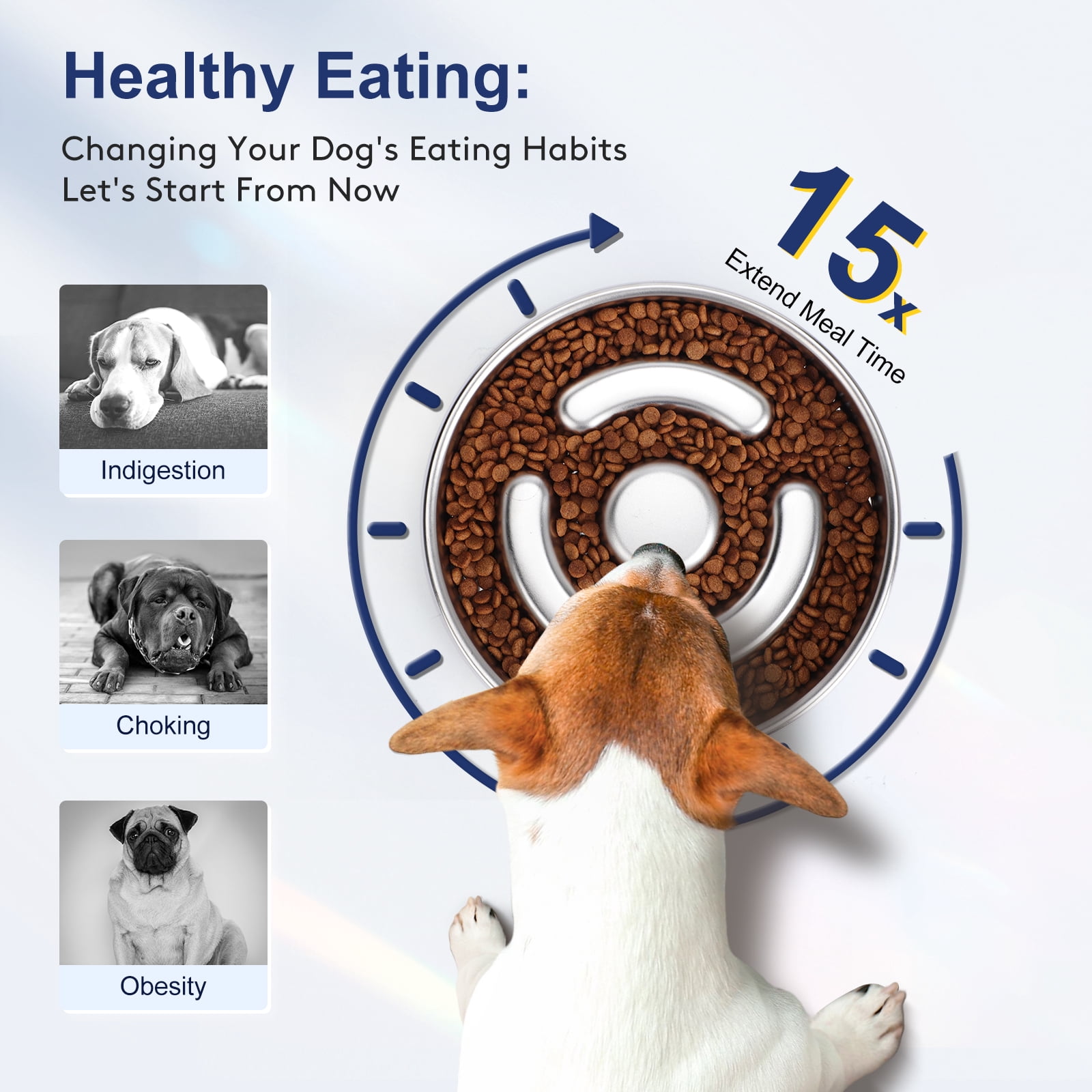 Slow Feeder Dog Bowl Stainless Steel, Non-Slip Rubber Base Metal Dog Bowls, 8.6" Slow Water Bowl for Dogs Small Medium, Fun Bloat Stop Pet Bowl for Fast Eaters, Puzzle Maze Bowl Slow Down Eating