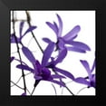 thumbnail image 2 of PhotoINC Studio 12x12 Black Modern Framed Museum Art Print Titled - Purple Blossom, 2 of 5