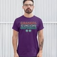 thumbnail image 3 of Tee Hunt Grandpa is Like a Dad Only Cooler T-Shirt Granddad Father's Day Men's Tee, Purple, 3X-Large, 3 of 5