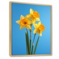 thumbnail image 2 of Designart "Daylight'S Yellow And Green Daffodils I" Daffodils Floater Framed Wall Art Prints, 2 of 5