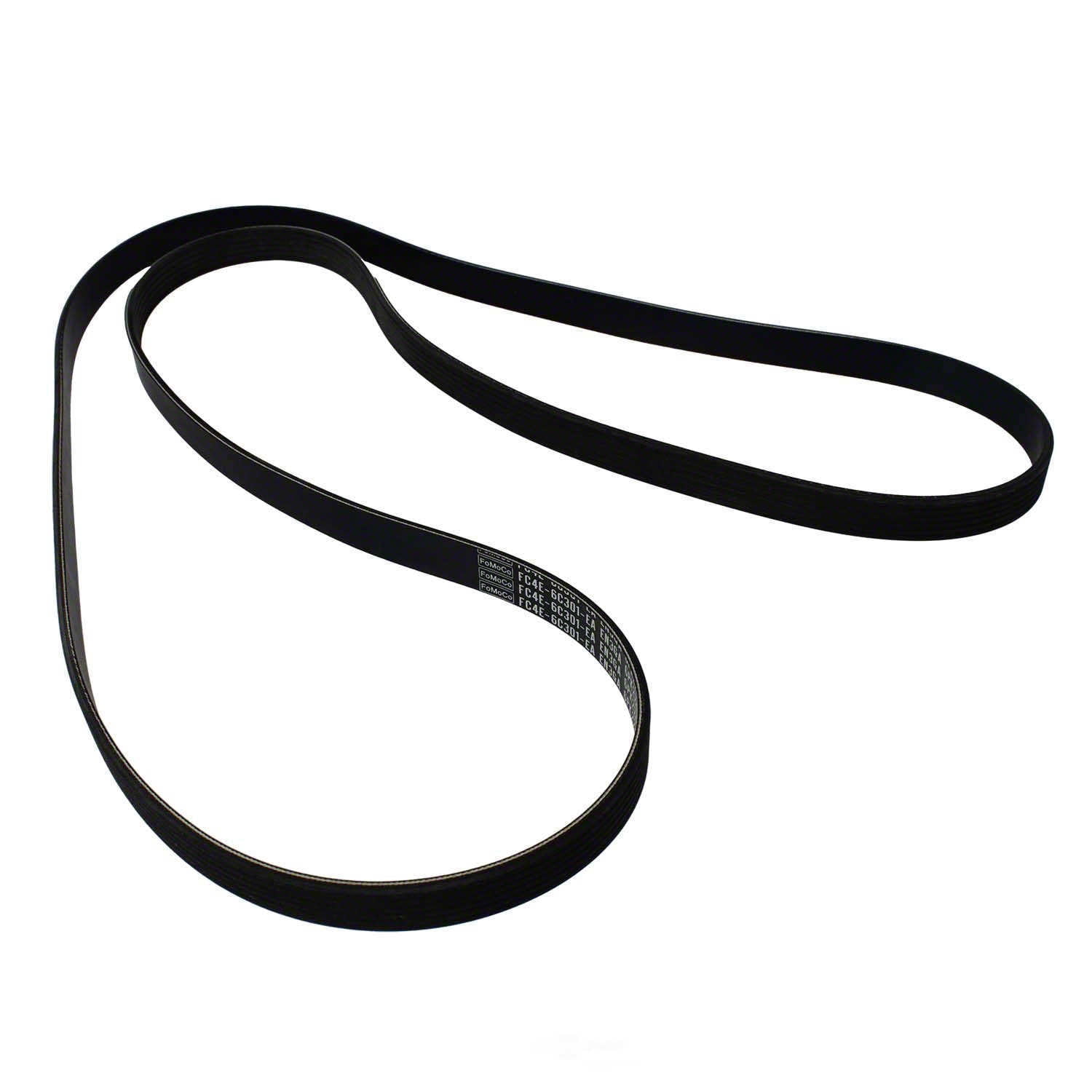 Motorcraft JK6-891-B Serpentine Belt