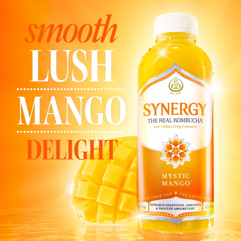 GT'S Synergy Organic Mystic Mango Kombucha, 16 Fl. Oz. - Walmart.com