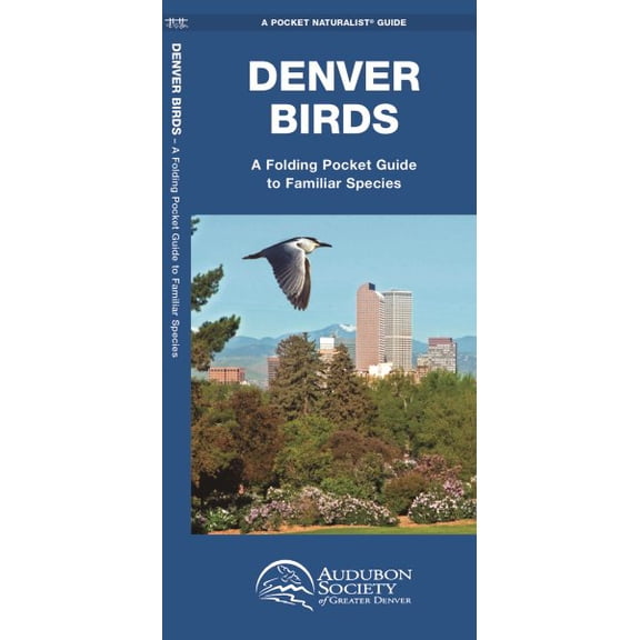Pre-Owned Pocket Naturalist Guides: Denver Birds : A Folding Pocket Guide to Familiar Species (Edition 2) (Other)