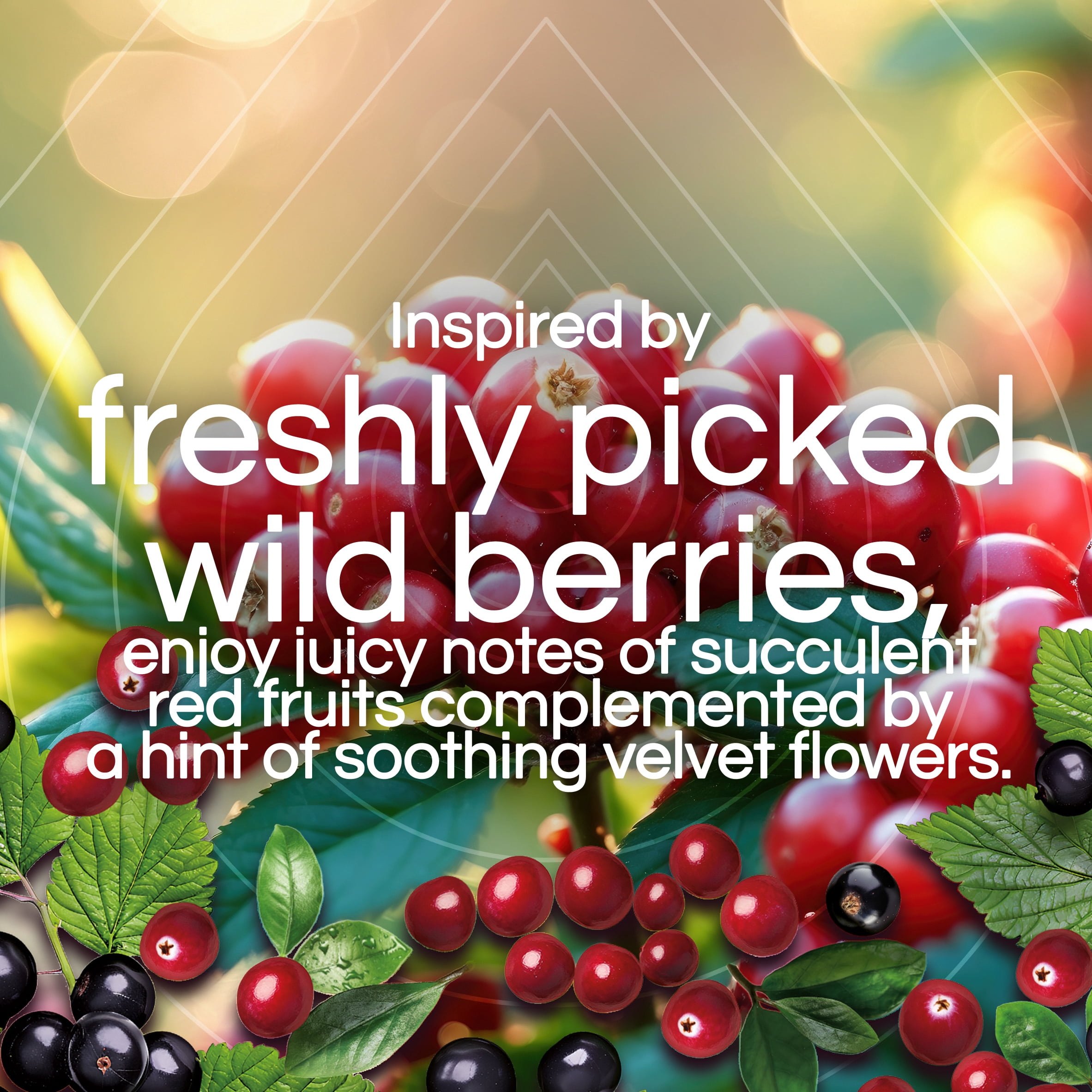 (6 pack) Air Wick Plug-In Scented Oil Air Freshener Warmer Refills, Ripe Cranberry and Currants, 2 Count