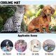 thumbnail image 4 of M Estera de enfriamiento de verano para perros, gatos, estera de enfriamiento para perros de seda helada, 4 of 5
