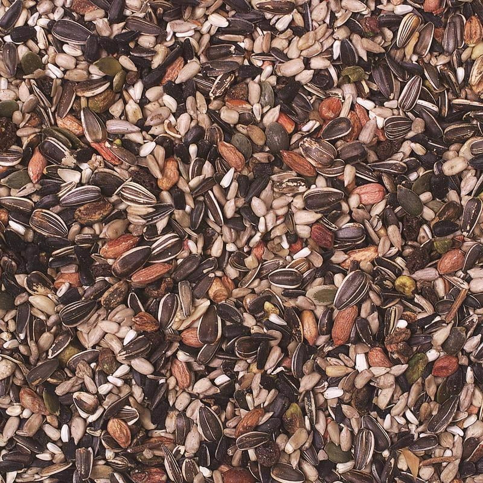 Wild Delight 366050 Nut N' Berry Bird Food, 5 lb, Multi