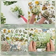 thumbnail image 2 of Flower Sticker, Scrapbooking Supplies for Adult Junk Journal 50 Sheets, Transparent Stickers and Material Paper Green,1 * Flower Sticker set,Green, 2 of 6