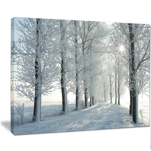 Winter Trees Backlit by Morning Sun' Photographic Print on Wrapped Canvas