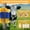 Blue and Yellow, variant on Geetinfly Horse Scratching Post,2Pcs Animal Back Scratching Brush Goat Scratching Brush,Plastic + Nylon Livestock Brush for Horses Goats,for Outdoor Farm and Ranch Grooming Tool,Blue Green