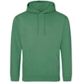 thumbnail image 1 of Awdis  Adult College Hoodie, 1 of 2