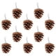 thumbnail image 3 of 10 piezas de piñas naturales para masticar loros, accesorios para jaulas de pájaros, juguete para la dentición de loros, juguete para morder en jaulas de pájaros para pájaros pequeños y medianos, 3 of 7