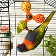 thumbnail image 1 of BotaniNest Parrot Rotating Bird Cage With Windmill In Colourful Interactive For Movement And Boredom For Owners (6 Styles), 1 of 4