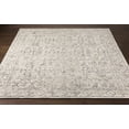 thumbnail image 6 of Hauteloom Dubbo Living Room, Bedroom Area Rug - Traditional - Gray, Beige - 2' x 3', 6 of 9