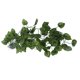 thumbnail image 1 of Simulación De Reptiles Paisajismo Decorativo Vine Verde Para Caja De Mascotas, 1 of 7
