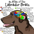 thumbnail image 3 of CafePress - Chocolate Lab Brain T Shirt - Men's Classic Graphic Cotton T-Shirt, 3 of 4