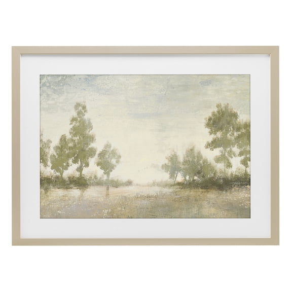Stupell Industries Traditional Forest Light Distant Valley Birch Framed Print Under Glass, 23 x 17, by Michael Marcon