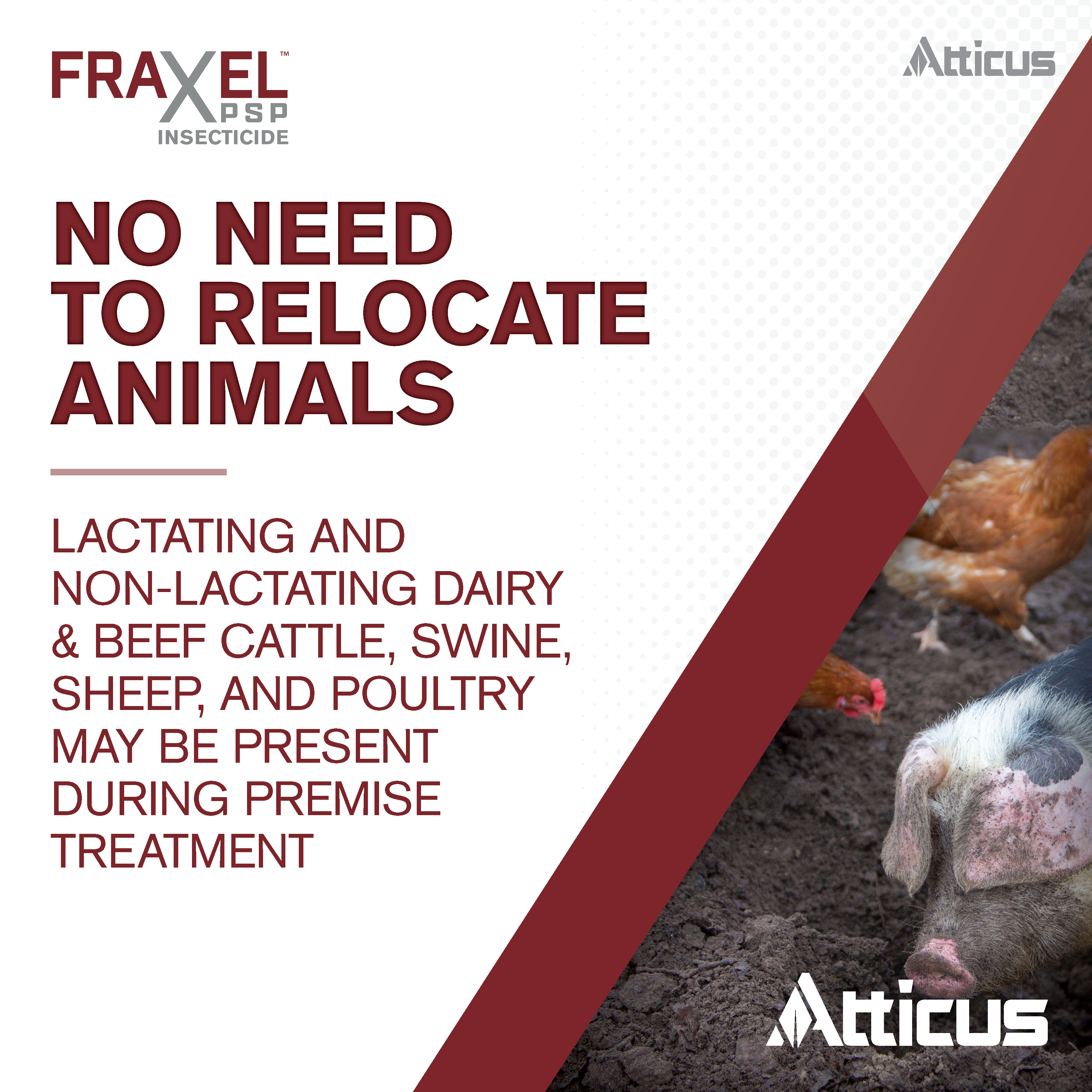 Fraxel PSP Insecticide for Poultry (8-oz) Concentrate - (Compare to Elector PSP) - Kill Mites, Lice, Flies, Beetles In & Around Chicken Coops & Other Livestock Areas - by Atticus
