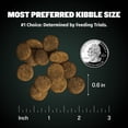 thumbnail image 4 of Bully Max 24/14 High Protein & Growth Lamb Flavor Puppy Food, 15 lb. Bag, 4 of 9