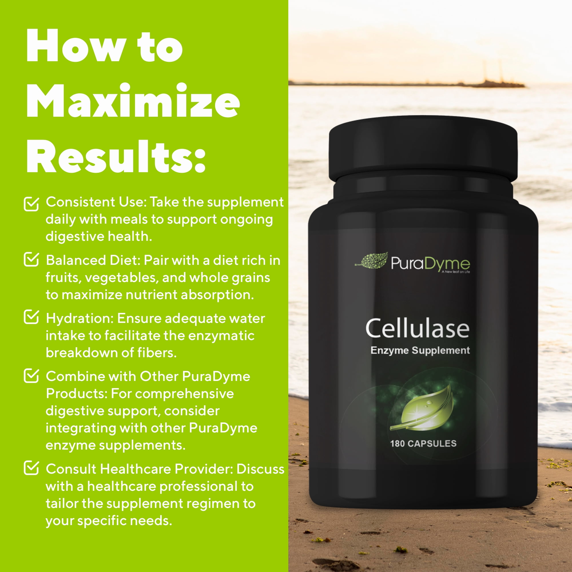 PuraDyme Cellulase Digestive Enzymes, Digestion Supplement for Women and Gut Health (180 Caps)