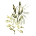 thumbnail image 3 of Vess, June Erica 15x18 Black Modern Framed Museum Art Print Titled - Lichen and Leaves IV, 3 of 5