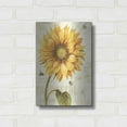 thumbnail image 3 of Luxe Metal Art 'Under The Sun I' by Lisa Audit, Metal Wall Art,, 12"x16", 3 of 9
